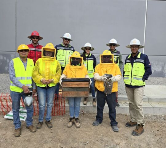 whatsapp image 2025 08 06 at 20.08.52